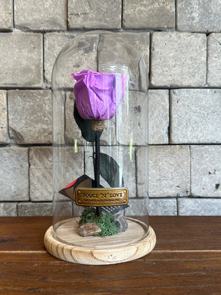 Lavender Glow Infinite Rose | Tall Vase