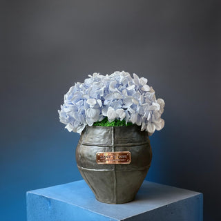 Azure Grace – Preserved Hydrangea