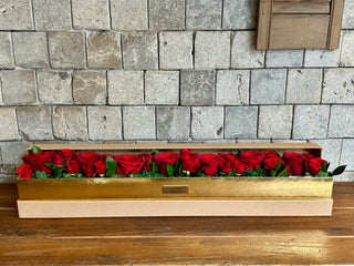 Crimson Elegance — Red Roses