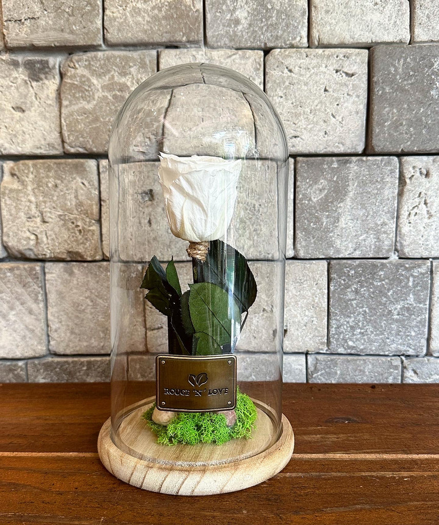 Infinite Roses – ROUGE ‘N’ LOVE