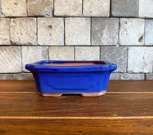Open image in slideshow, Japanese Tokoname Bonsai Pot

