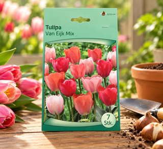 Van Eijk Mix Tulip Bulbs – Pack of 7
