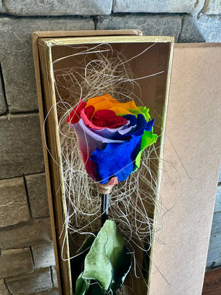 Single Premium Infinite Rose Gift Box ‘Rainbow’