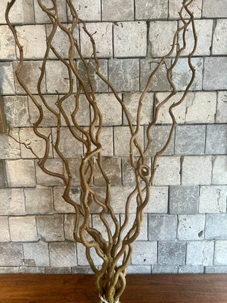 Dried Corylus Stalks ‘Hazel Tree’