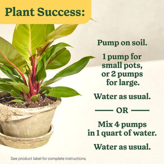 Miracle-Gro® Indoor Plant Food Liquid (1-1-1)