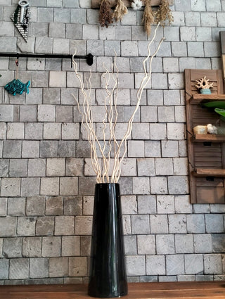 Dried Curly Willow Branches