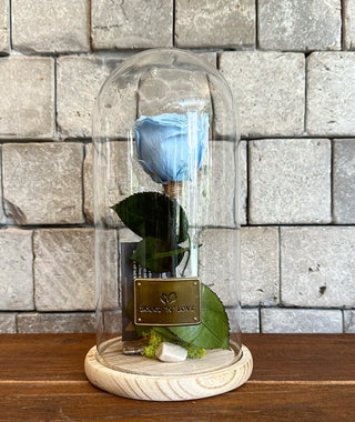 Ice Blue Infinite Rose *Tall Vase*