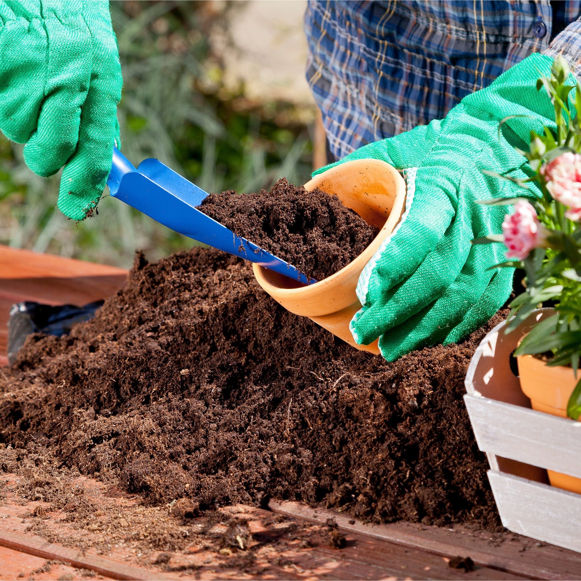 cocopeat potting mix Potting Substrate Potting Soil CocoPeat Mix (10L, 20L, 50L) – ROUGE 'N' LOVE ™