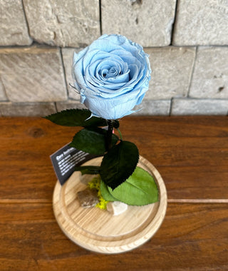 Ice Blue Infinite Rose *Tall Vase*