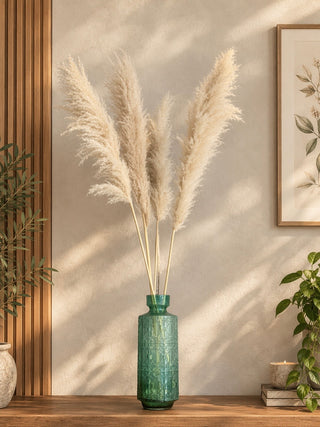 Dried Fluffy Pampas Grass