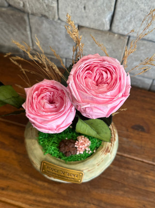 English Rosé Éternelle Due