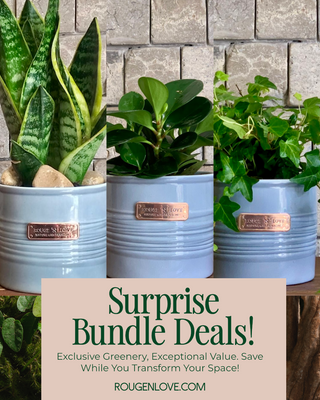 🌱 Compact Cute & Carefree 'Bundle'