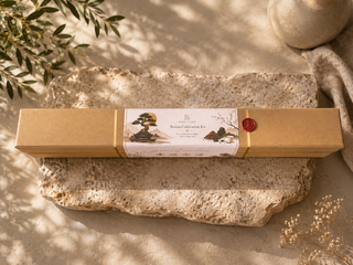The Bonsai Journey™ | Premium Bonsai Growing Kit