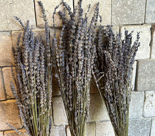 Dried Lavender Bunch