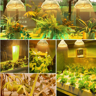 Full Spectrum Sunlike "Grow Light" Bulb for Indoor Plants (100W | 150 LEDs)