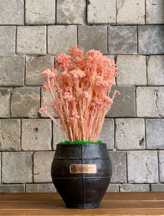 Rosé Mist Botanical Creation