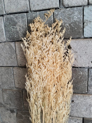 Dried Botanical Decor