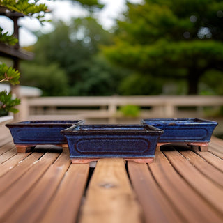 Japanese Tokoname Bonsai Pot