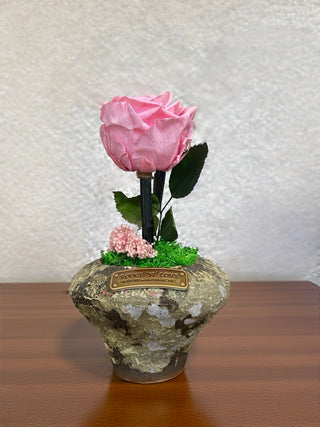 Rosé Éternelle Bloom
