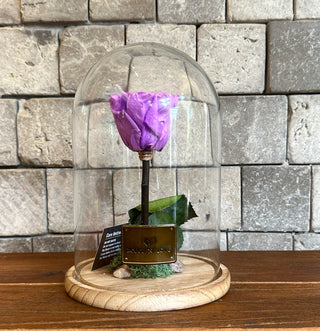 Lavender Infinite Rose *LG Vase*