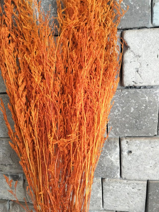 Dyed Botanical Bunch