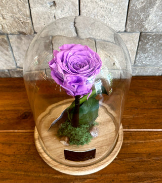 Lavender Infinite Rose *LG Vase*