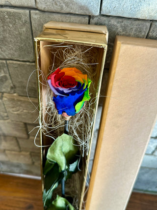 Single Premium Infinite Rose Gift Box ‘Rainbow’