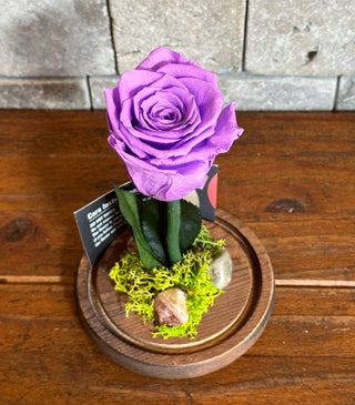 Lavender Infinite Rose *SM Vase*