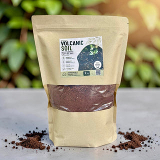 Premium Volcanic Potting Mix | 2kg
