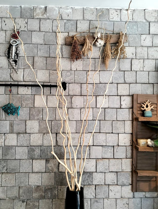 Dried Curly Willow Branches