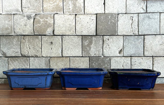 Japanese Tokoname Bonsai Pot