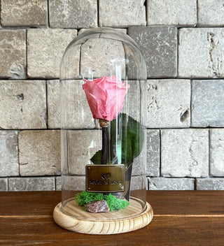 Sweet Pink Infinite Rose *Tall Vase*