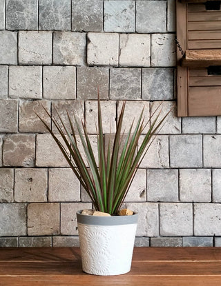Skyline Marginata Petite