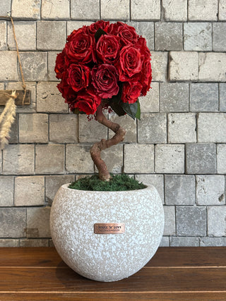 Majestic Infinite Roses Tree | Handmade Bonsai Design