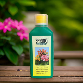 SPRING Flowering Plants Food | 500ml