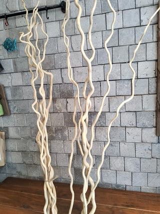 Dried Curly Willow Branches