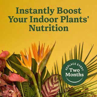 Miracle-Gro® Indoor Plant Food Spikes | Slow-Release (6-12-6)