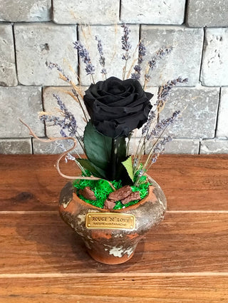 Noir Éternelle Bloom