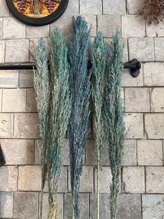 Dyed Multi-Colored Pampas Grass