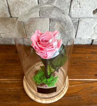 Sweet Pink Infinite Rose *Tall Vase*