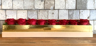 Crimson Elegance — Red Roses