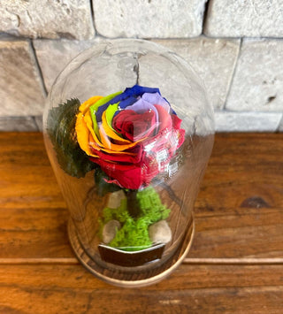 The Rainbow Infinite Rose *SM Vase*