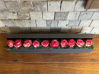 Blush Frame — Pink Veil Roses