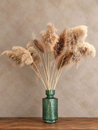 Dried Fluffy Pampas Grass