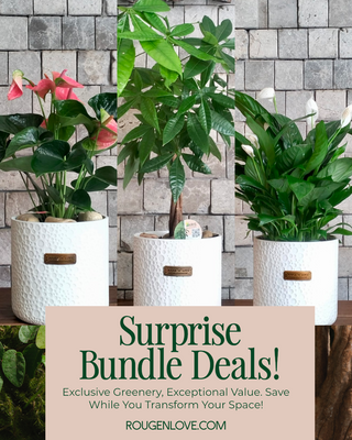 🍀 Fortune & Blooms 'Bundle'