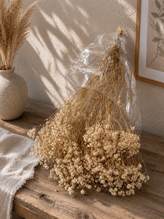 Ivory Preserved Baby’s Breath