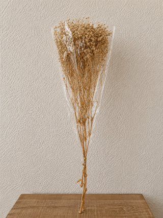 Ivory Preserved Baby’s Breath