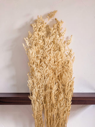 Dried Botanical Bunch