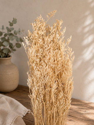 Dried Botanical Bunch