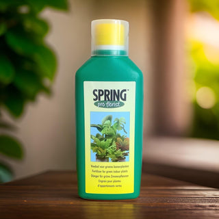 Spring Indoor Green Plants Food | 500ml